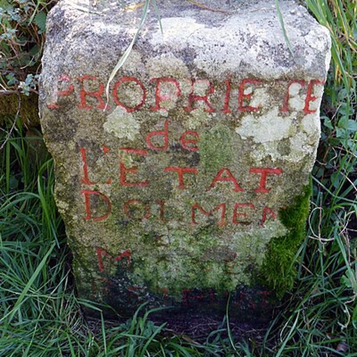Photo de Dolmen du Mané-Rutual à Locmariaquer