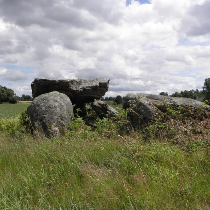 Photo de Dolmen du Rocher Jacquiaux à Saint-Germain-en-Coglès