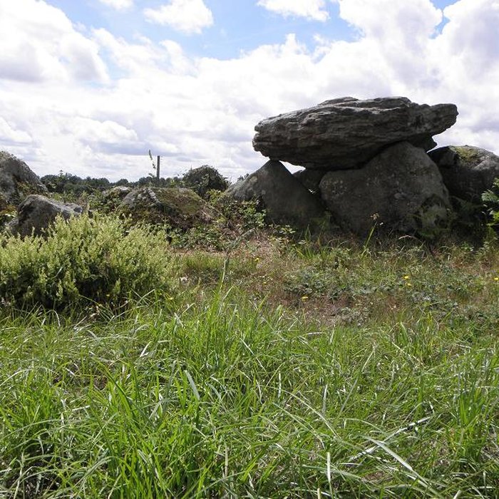 Photo de Dolmen du Rocher Jacquiaux à Saint-Germain-en-Coglès