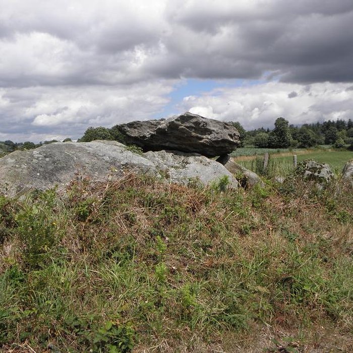 Photo de Dolmen du Rocher Jacquiaux à Saint-Germain-en-Coglès