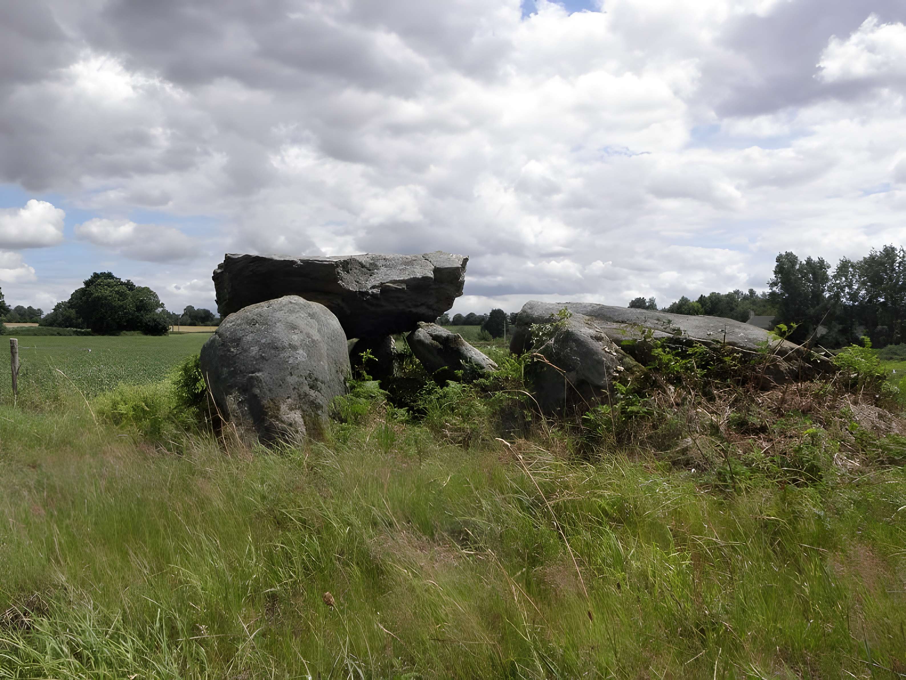Dolmen du Rocher Jacquiaux à Saint-Germain-en-Coglès 