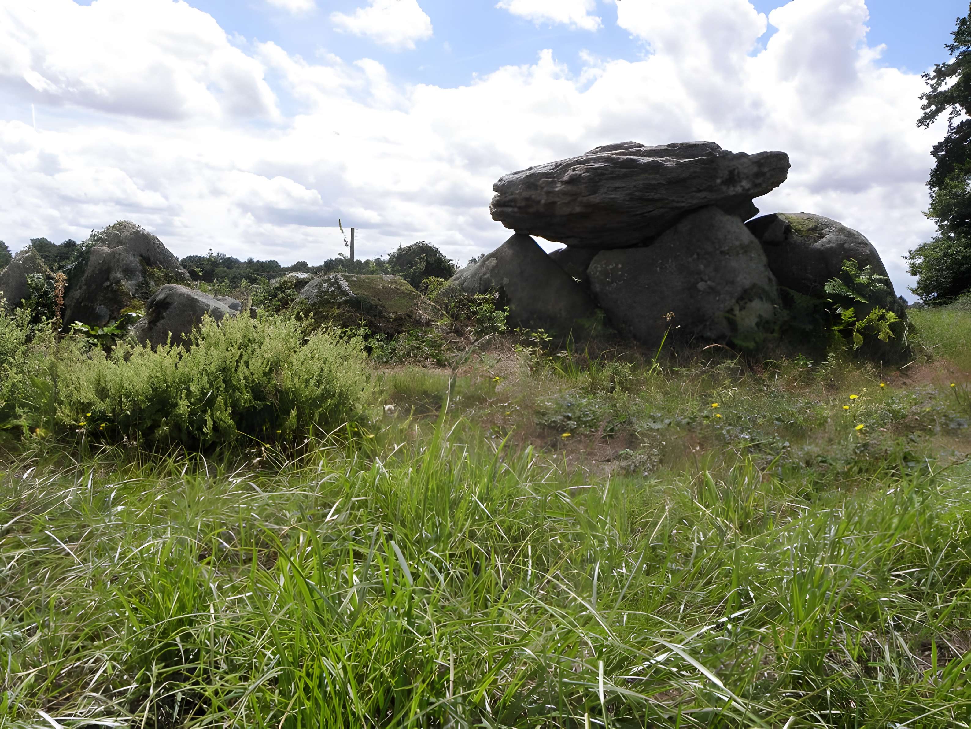Dolmen du Rocher Jacquiaux à Saint-Germain-en-Coglès