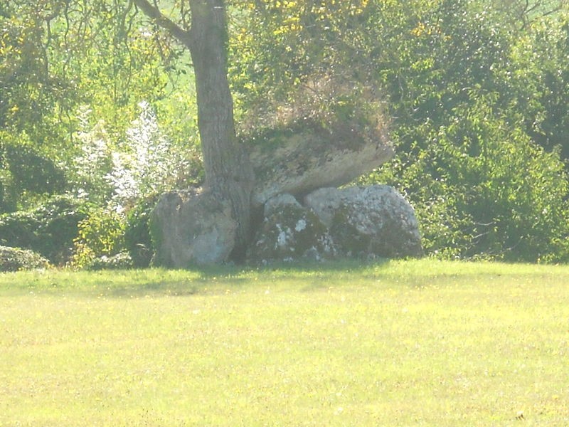 Photo de Dolmen du Ver à Tavers