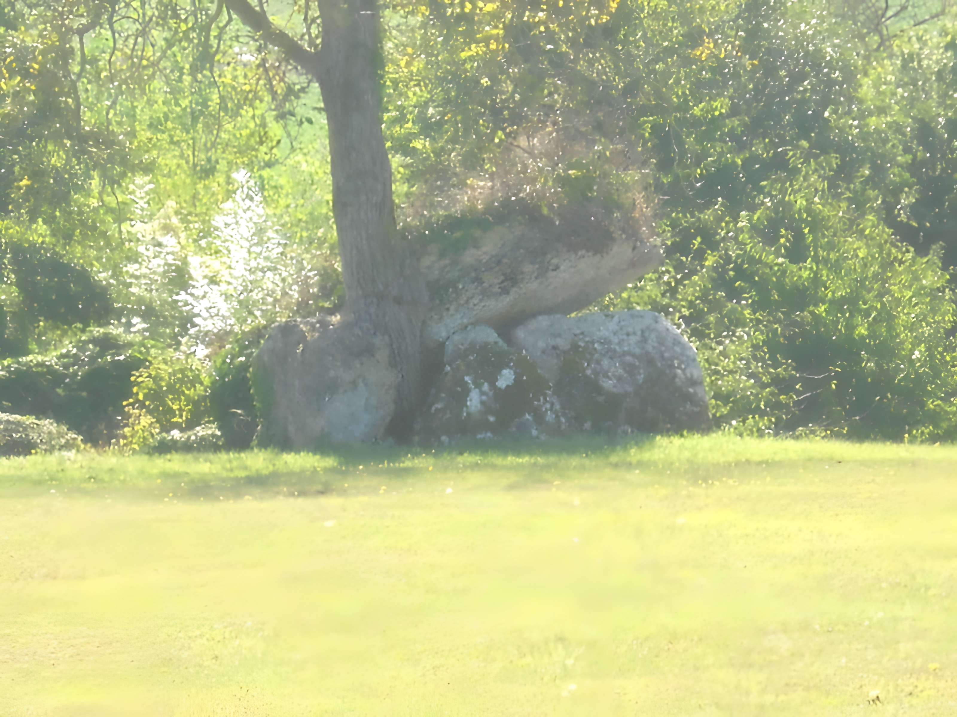 Dolmen du Ver à Tavers 