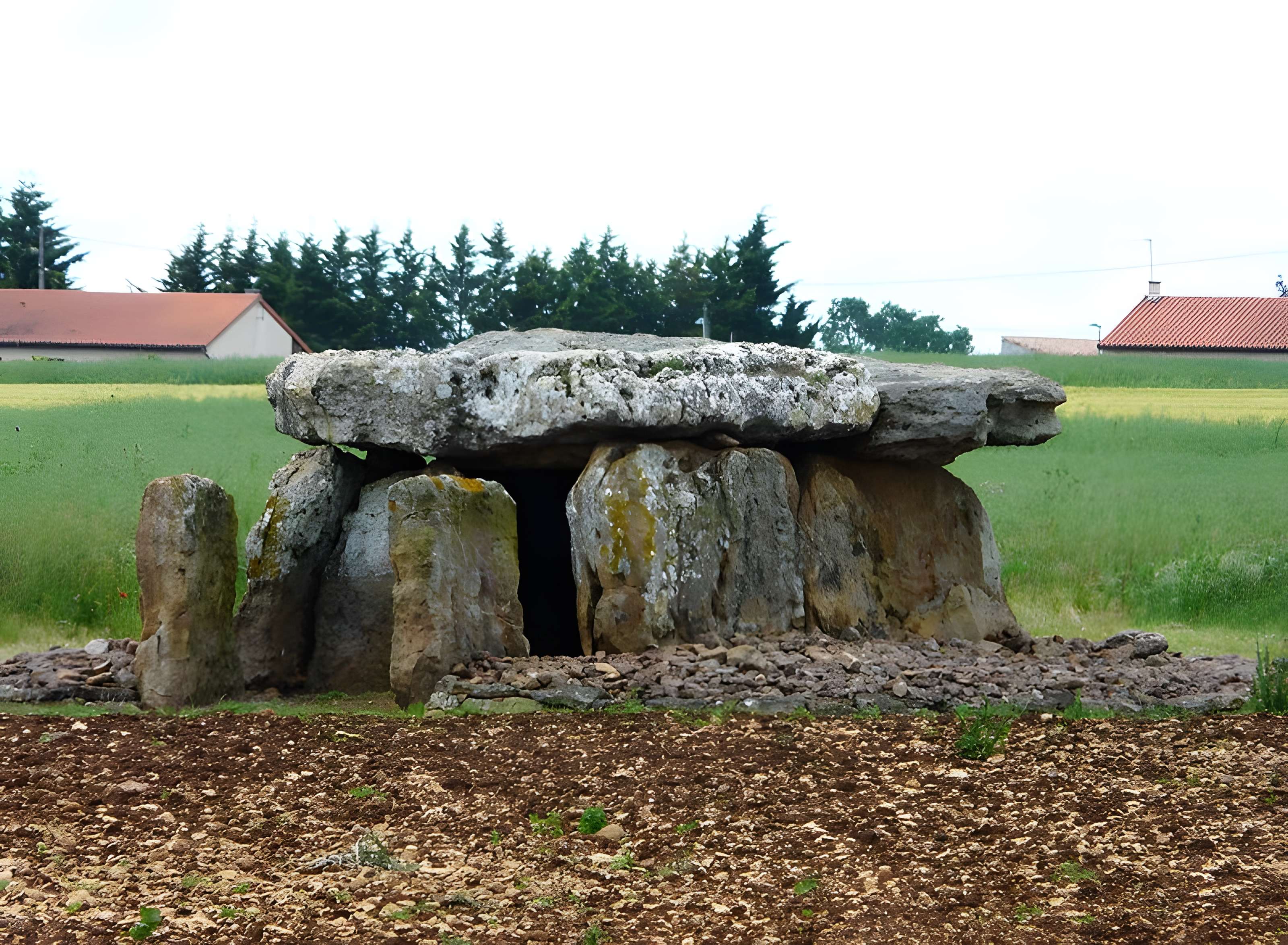 Dolmen E 134 de Taizé 