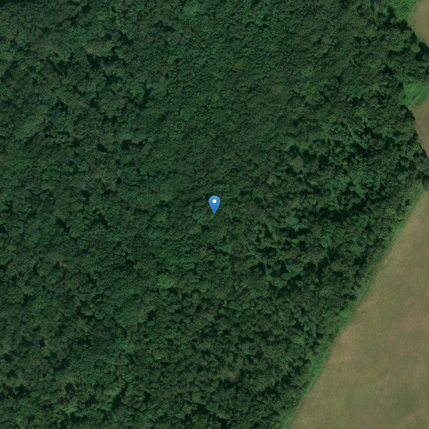 Photo de Dolmen y Cromlech de Senevaut a Ciron