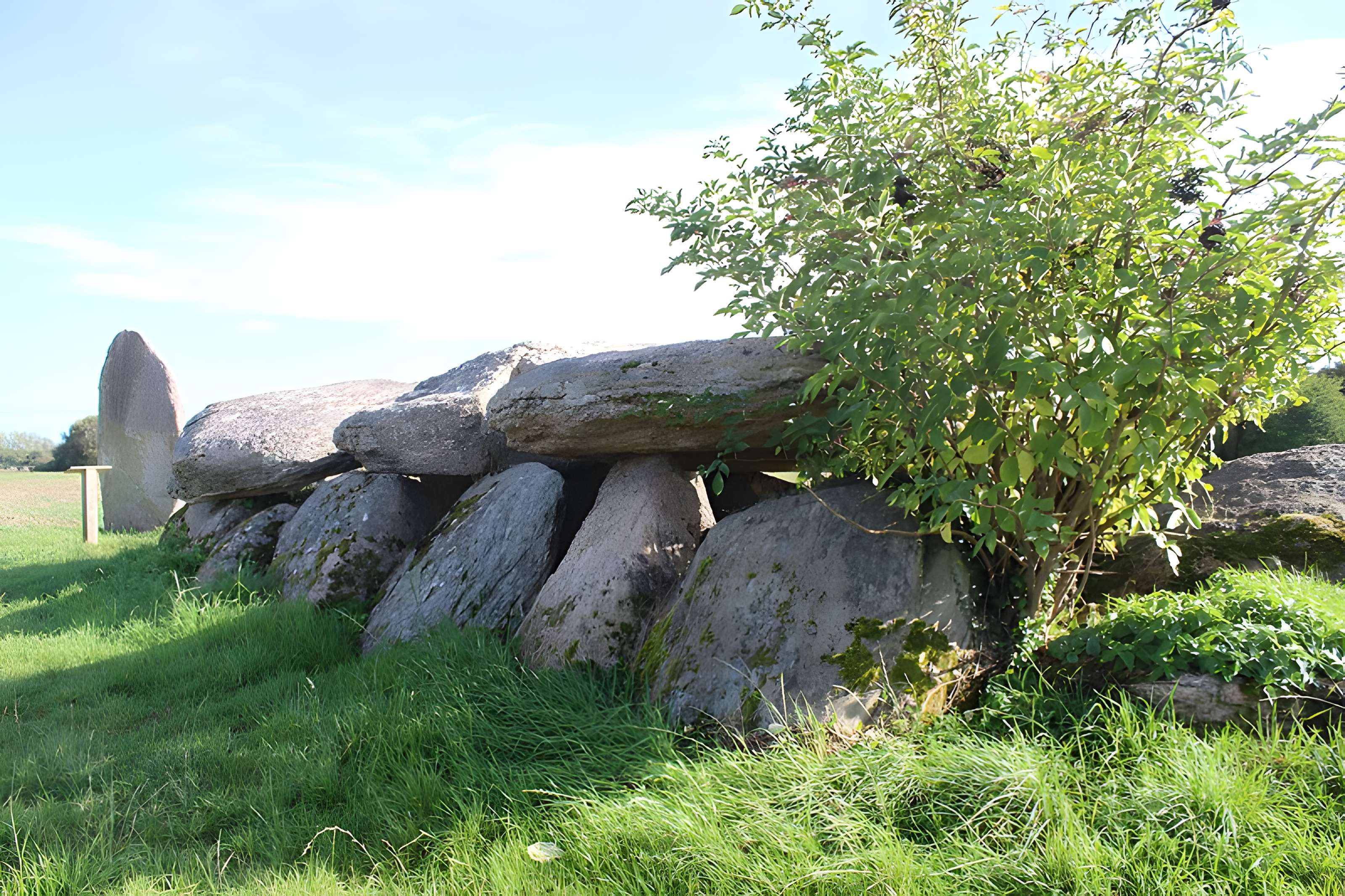Dolmen et menhir de Kercordonner à Moëlan-sur-Mer