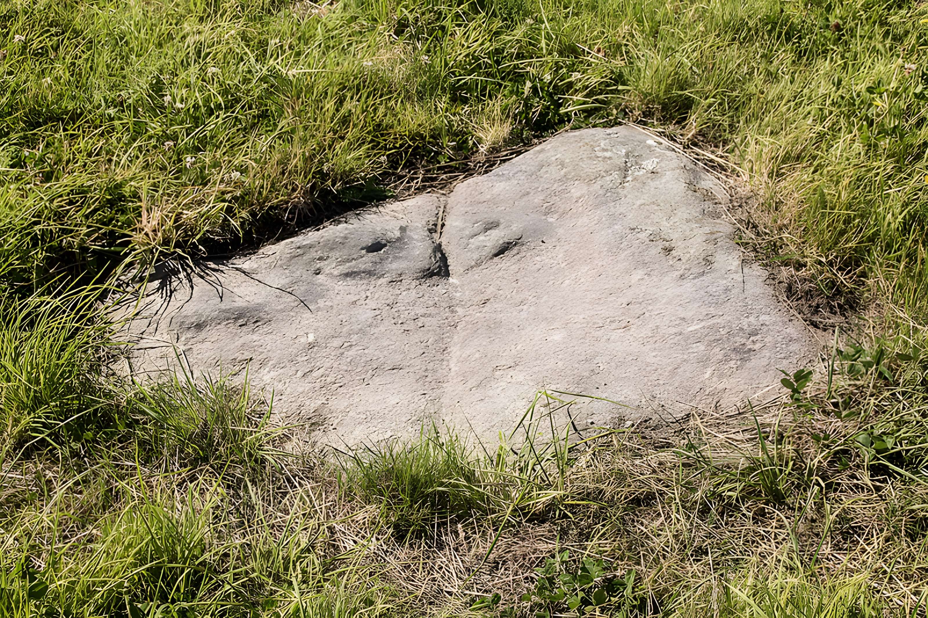 Dolmen et menhir de Kerivoret à Porspoder
