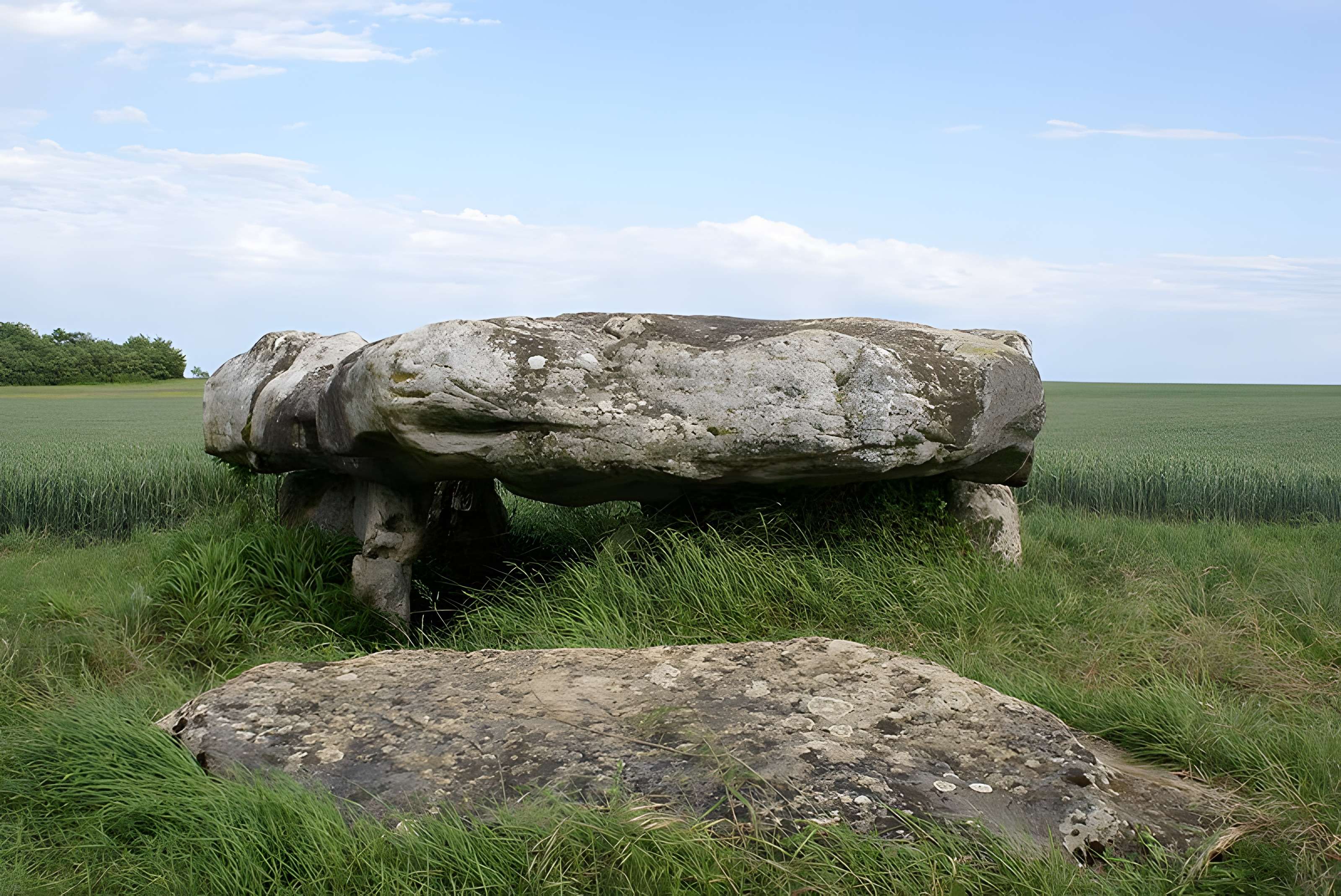 Dolmen la Pierre L'armoire à Rumont 