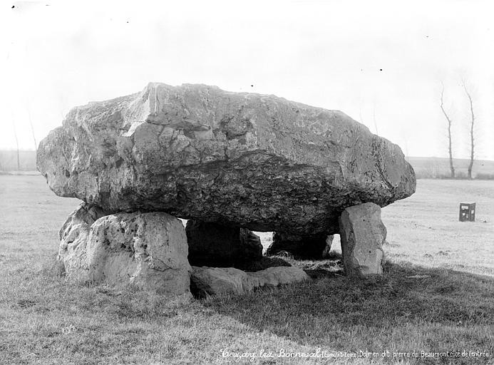 Photo de Dolmen Pierre de Villebon à Trizay-lès-Bonneval