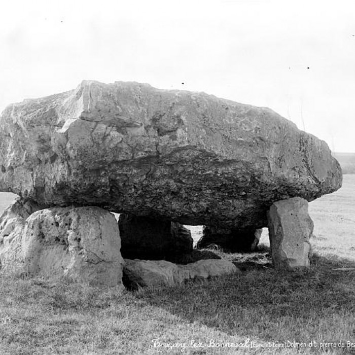 Photo de Dolmen Pierre de Villebon à Trizay-lès-Bonneval