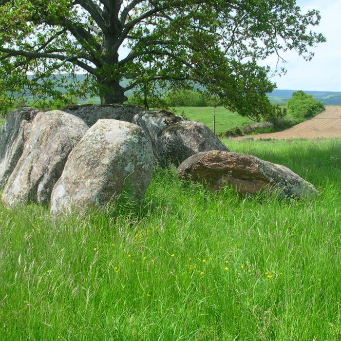 Photo de Dolmen Usteau du Loup à Saint-Gervazy