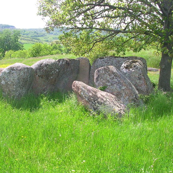 Photo de Dolmen Usteau du Loup à Saint-Gervazy