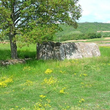 Dolmen Usteau du Loup à Saint-Gervazy