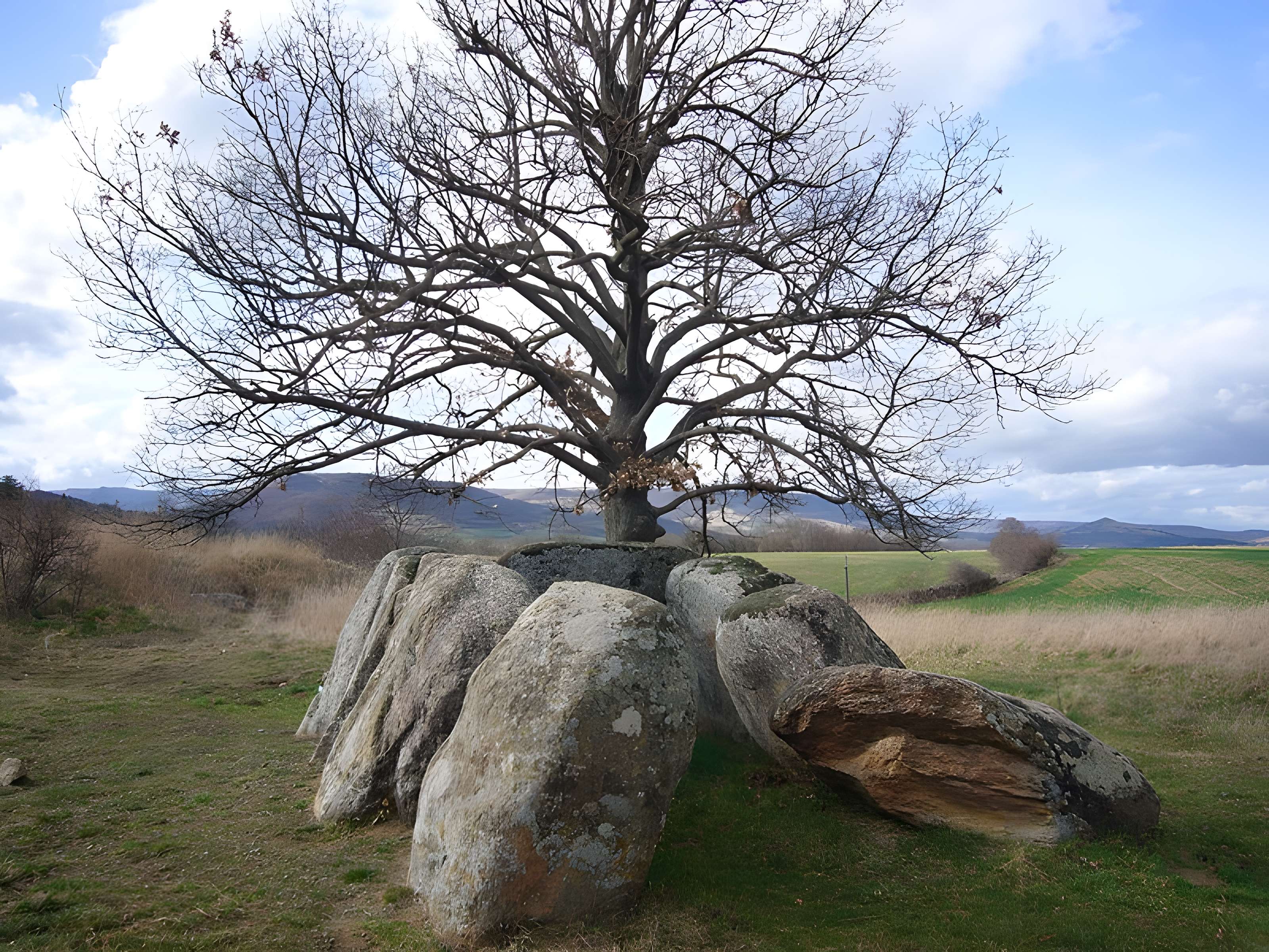 Dolmen Usteau du Loup à Saint-Gervazy 