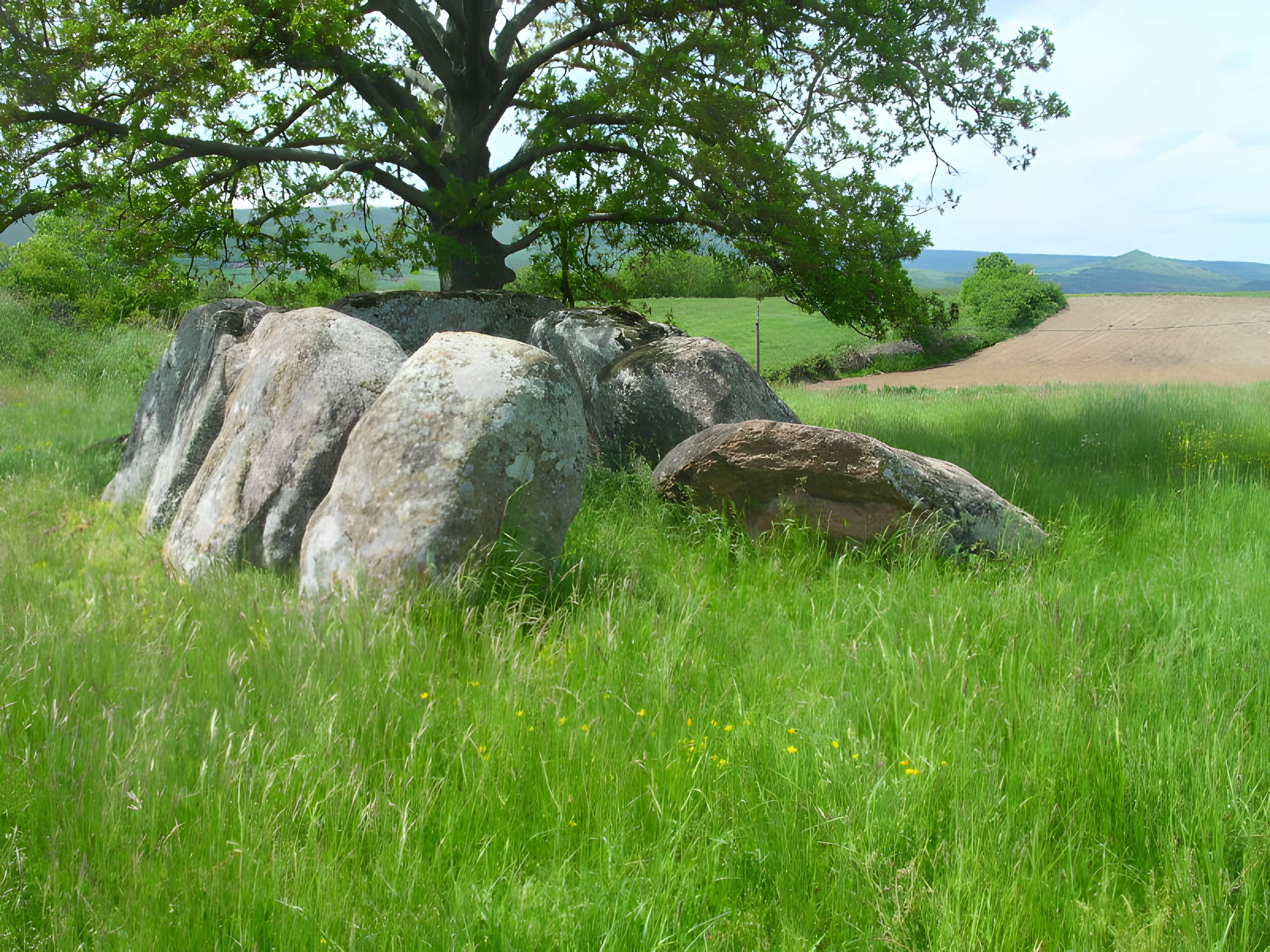 Dolmen Usteau du Loup à Saint-Gervazy