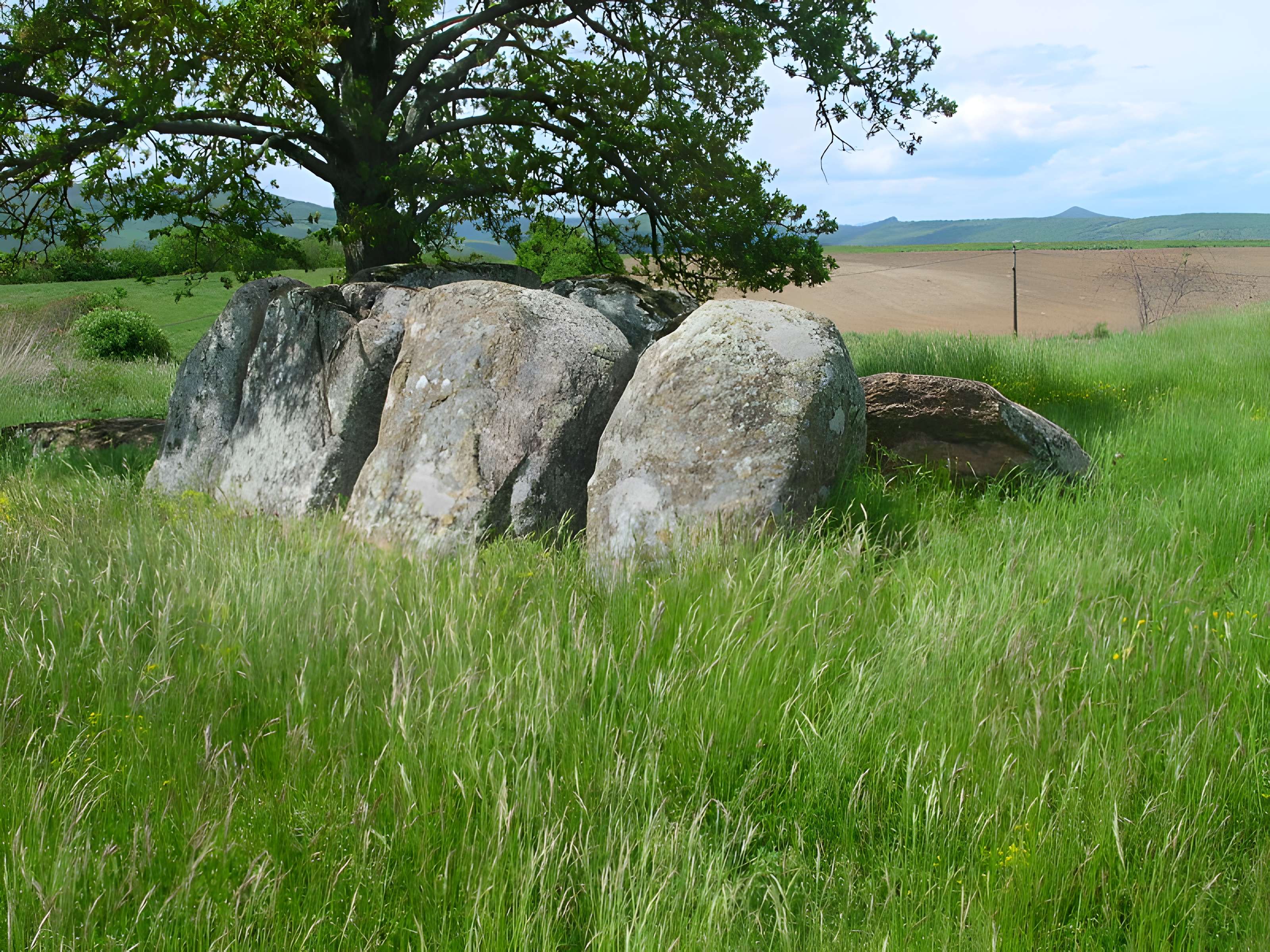 Dolmen Usteau du Loup à Saint-Gervazy