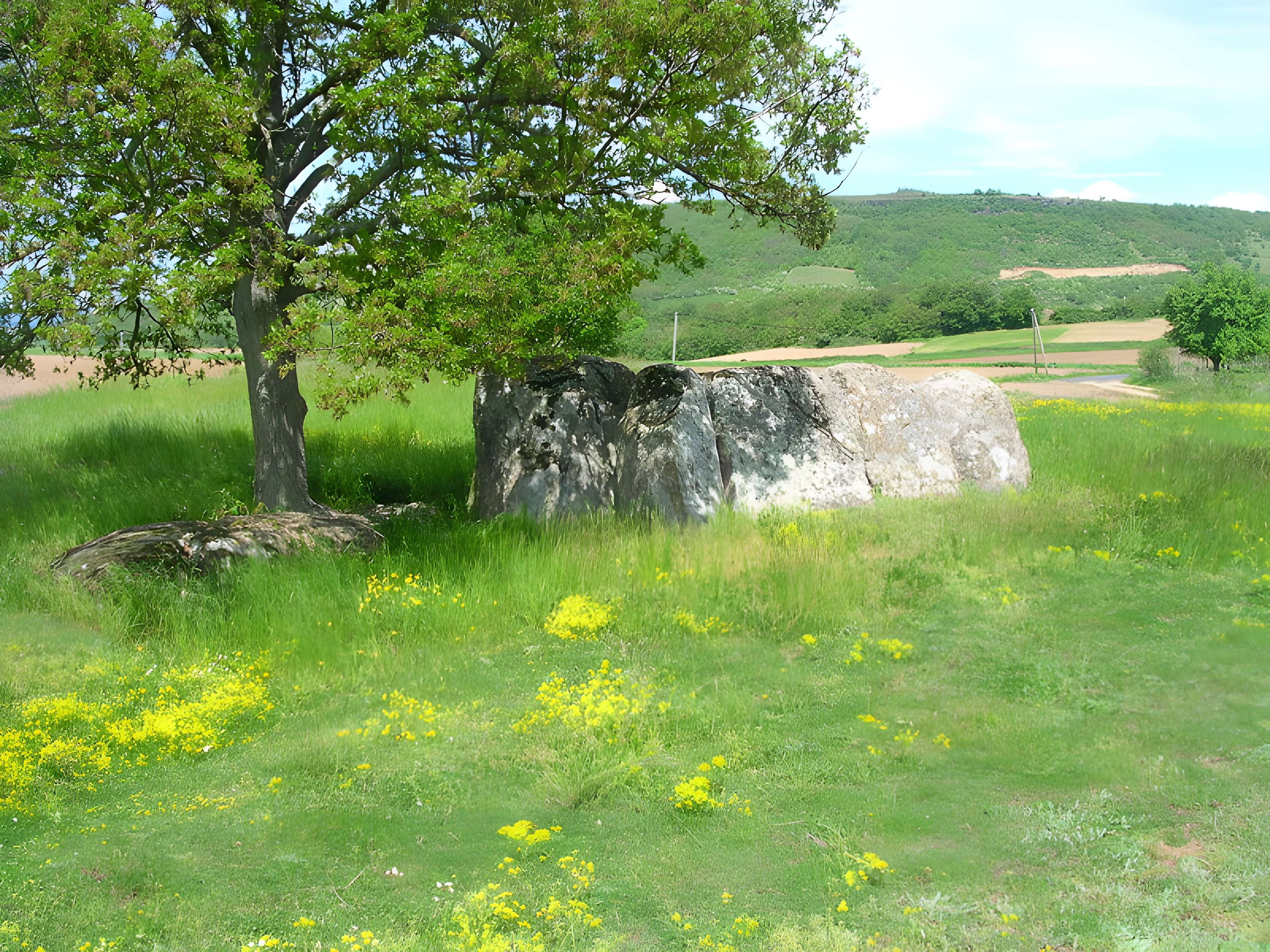 Dolmen Usteau du Loup à Saint-Gervazy