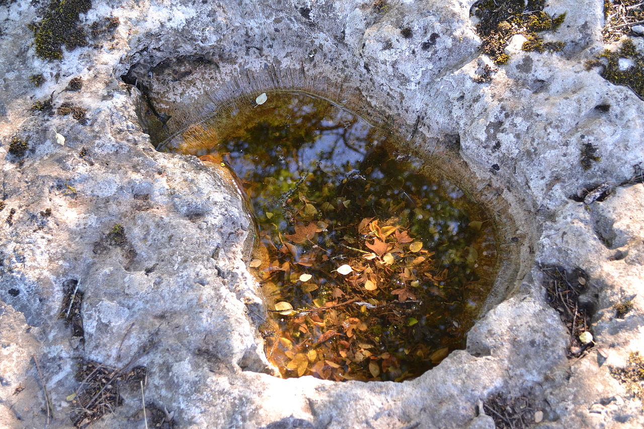 Deux dolmens sur le domaine de Gabaudet