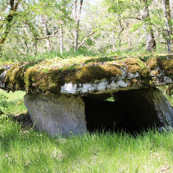 Photo de Dolmens de Gabaudet à Issendolus