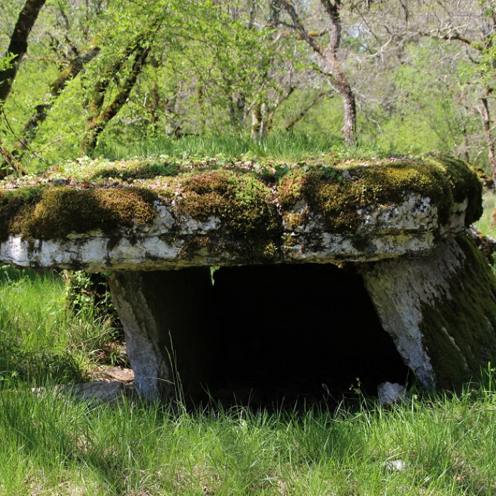 Photo de Dolmens de Gabaudet à Issendolus
