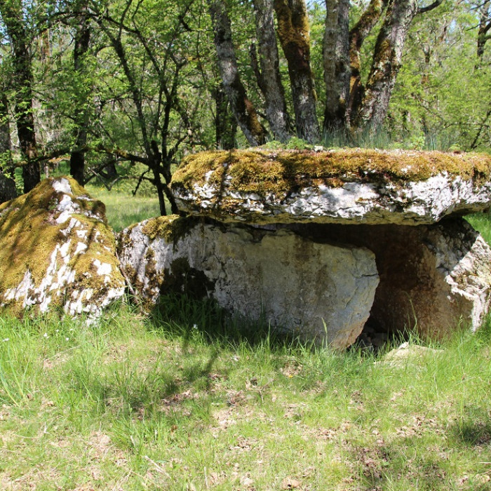 Photo de Dolmens de Gabaudet à Issendolus