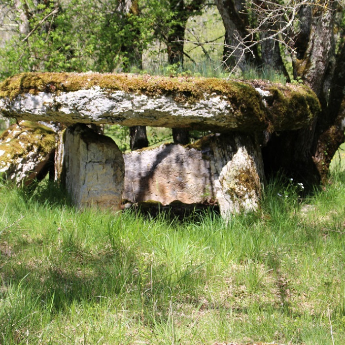 Photo de Dolmens de Gabaudet à Issendolus