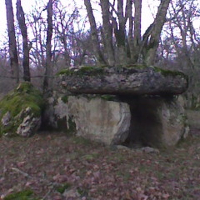 Photo de Deux dolmens sur le domaine de Gabaudet