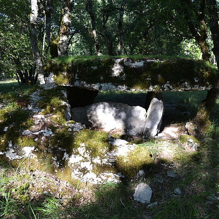 Photo de Deux dolmens sur le domaine de Gabaudet