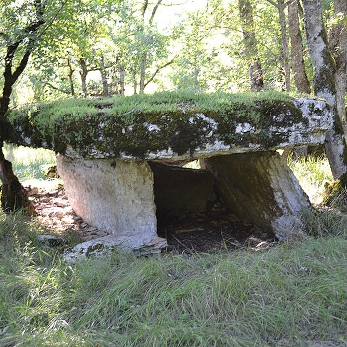 Photo de Deux dolmens sur le domaine de Gabaudet