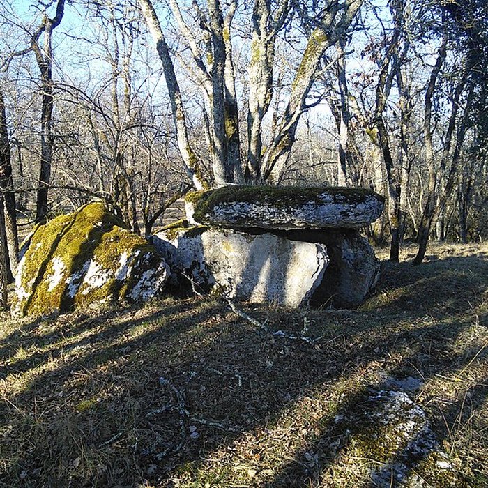 Photo de Deux dolmens sur le domaine de Gabaudet