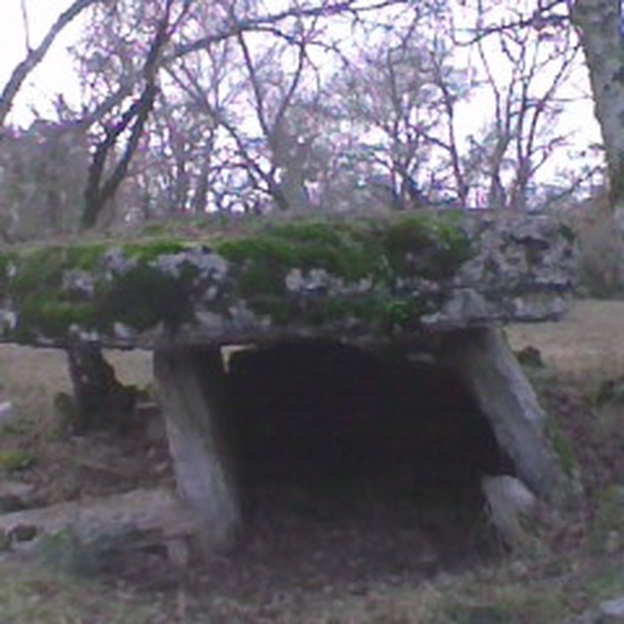 Photo de Deux dolmens sur le domaine de Gabaudet