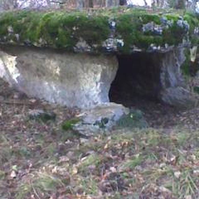 Photo de Deux dolmens sur le domaine de Gabaudet