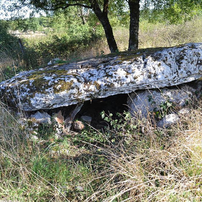 Photo de Deux dolmens sur le domaine de Gabaudet