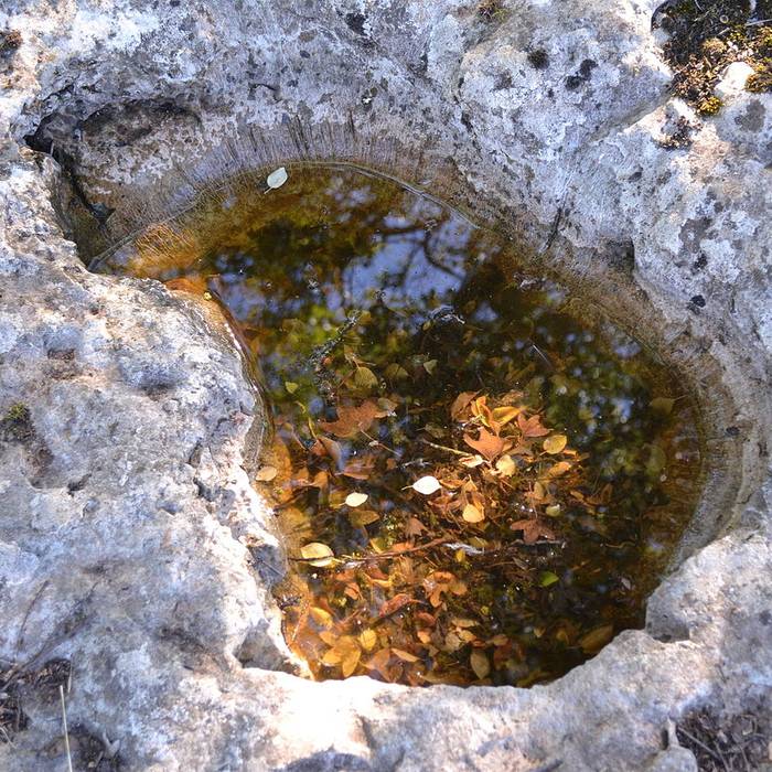 Photo de Deux dolmens sur le domaine de Gabaudet