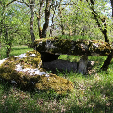 Dolmens de Gabaudet à Issendolus N 1 quatre