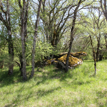 Dolmens de Gabaudet à Issendolus N 2 quatre