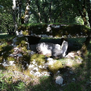 Deux dolmens sur le domaine de Gabaudet
