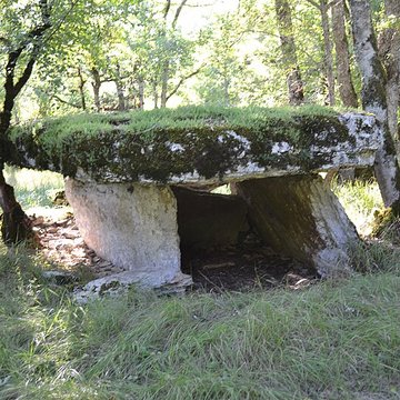 Deux dolmens sur le domaine de Gabaudet