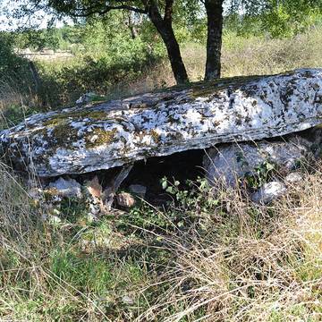 Deux dolmens sur le domaine de Gabaudet