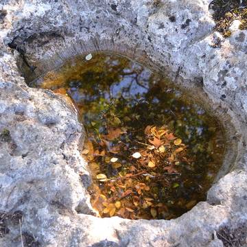 Deux dolmens sur le domaine de Gabaudet