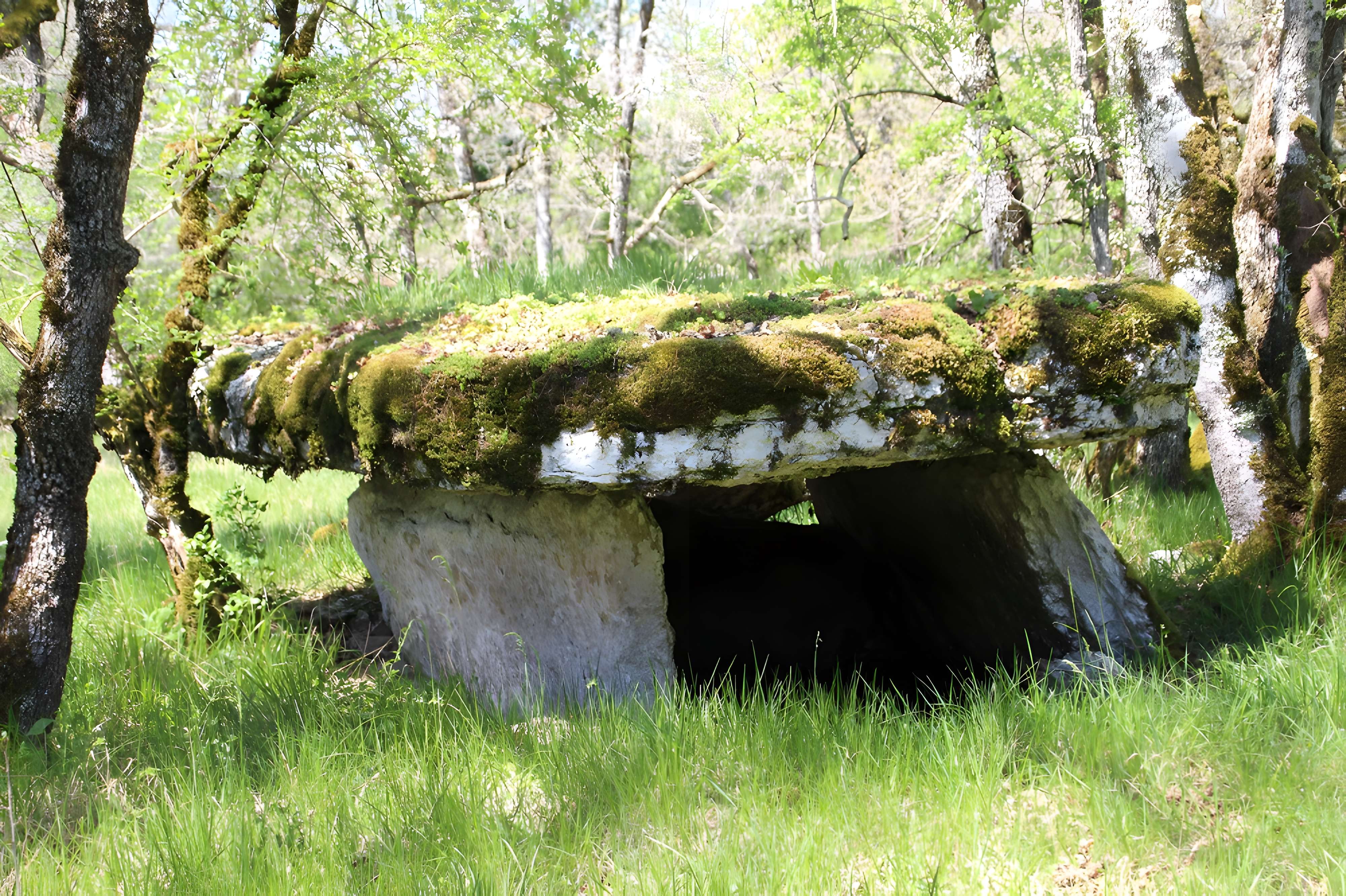 Dolmens de Gabaudet à Issendolus N° 1