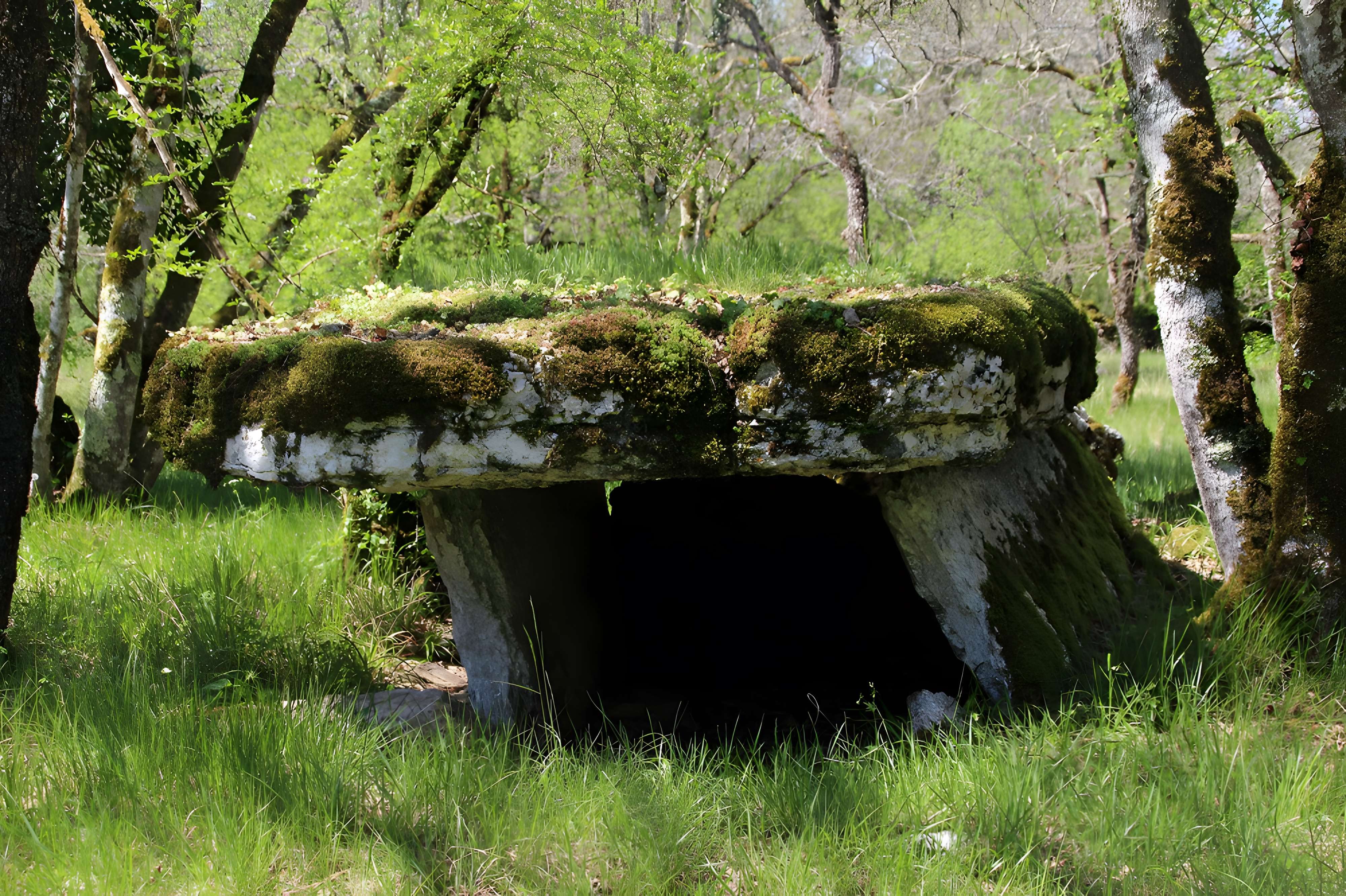 Dolmens de Gabaudet à Issendolus N° 1 bis