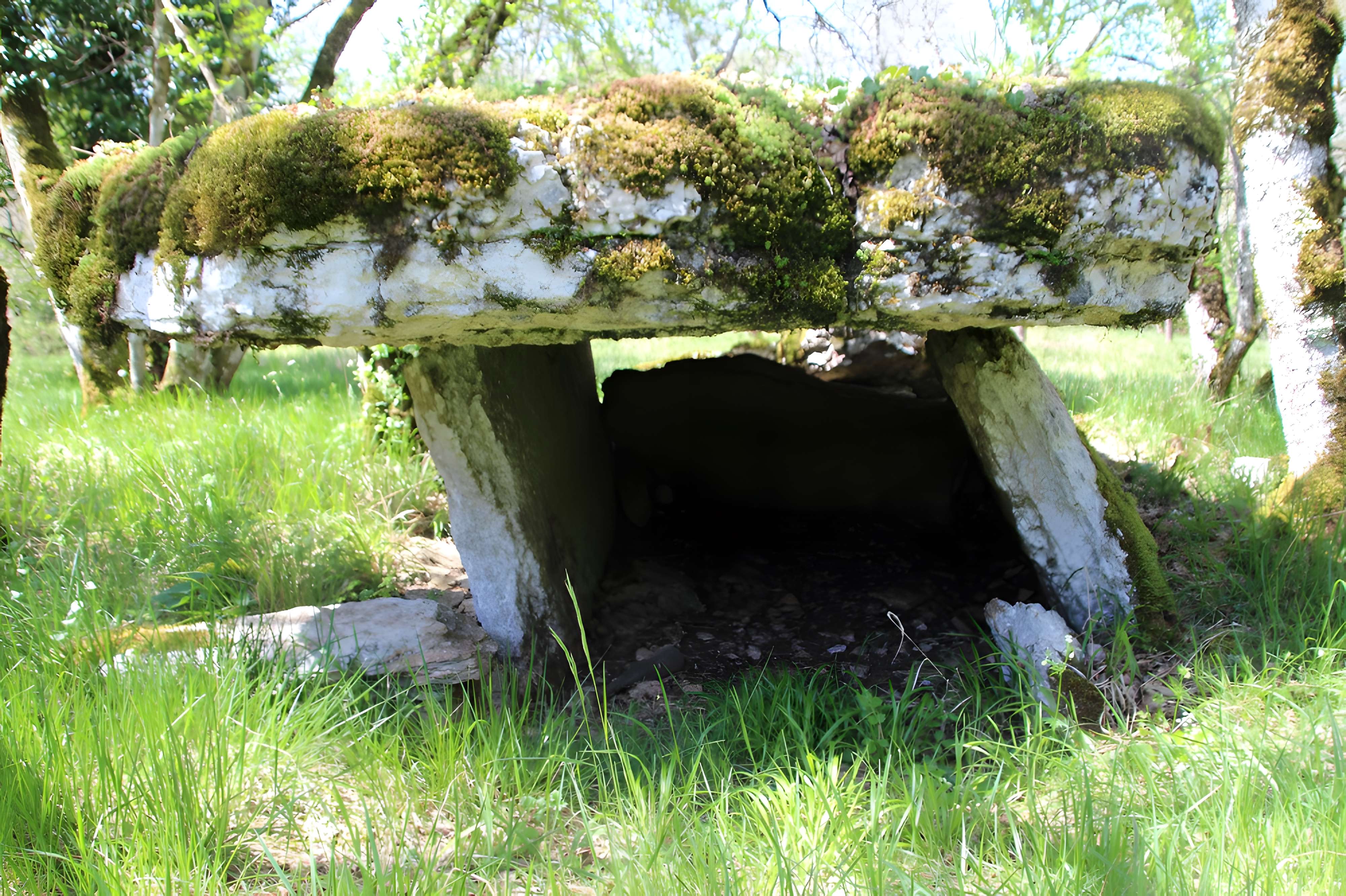 Dolmens de Gabaudet à Issendolus N° 1 ter