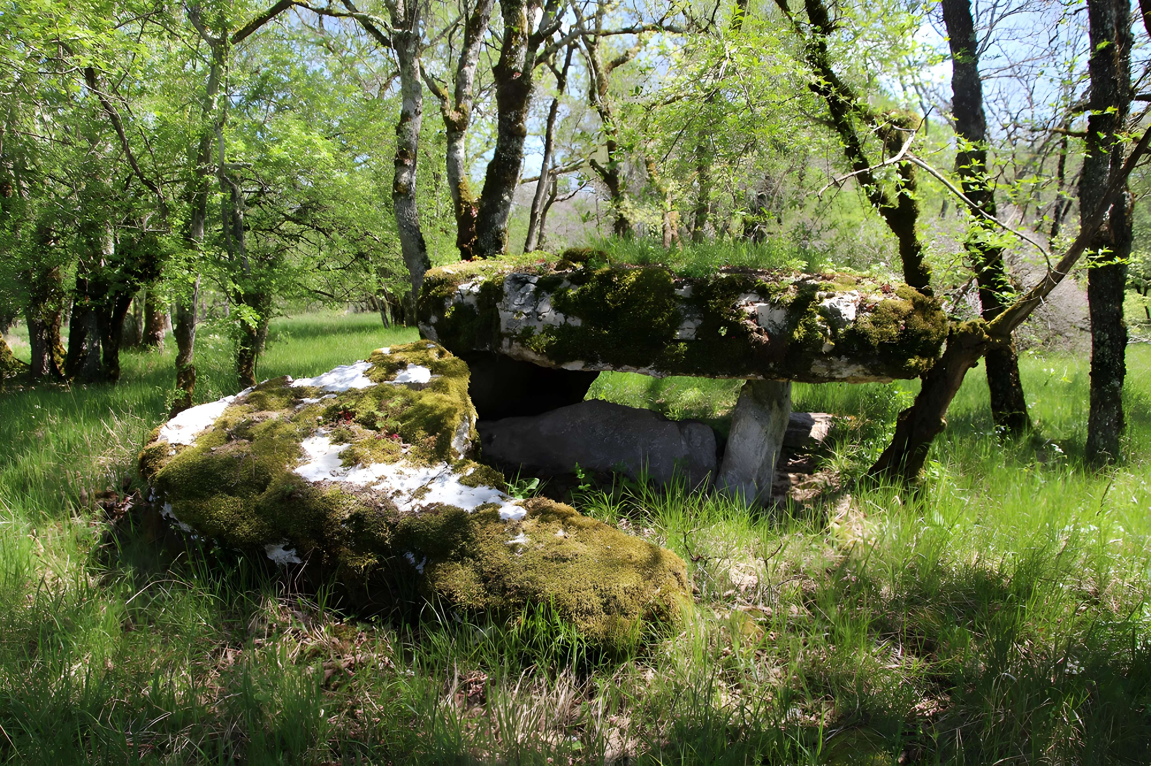 Dolmens de Gabaudet à Issendolus N° 1 quatre