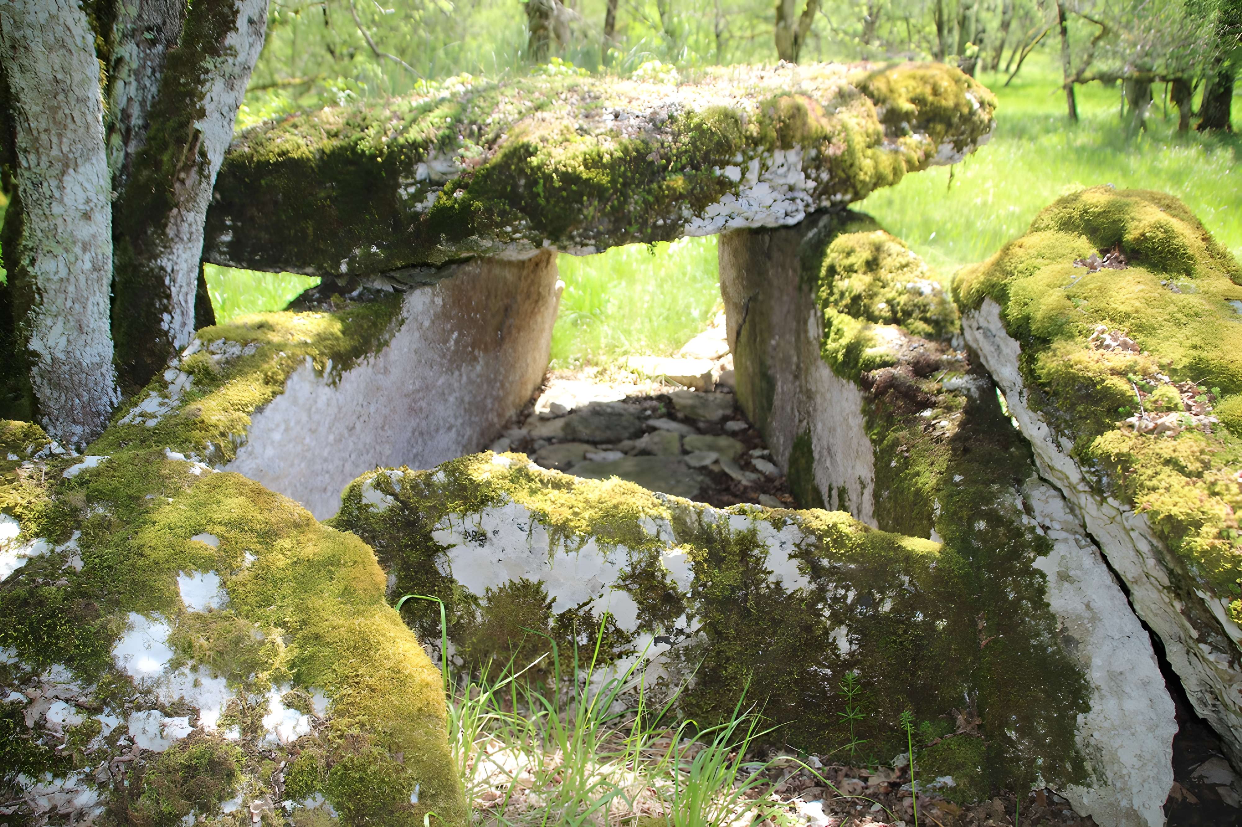 Dolmens de Gabaudet à Issendolus N° 2 ter