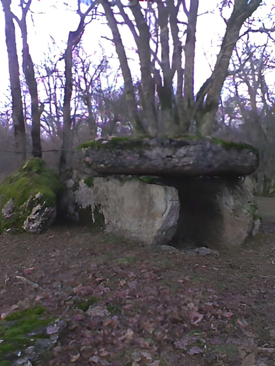 Deux dolmens sur le domaine de Gabaudet