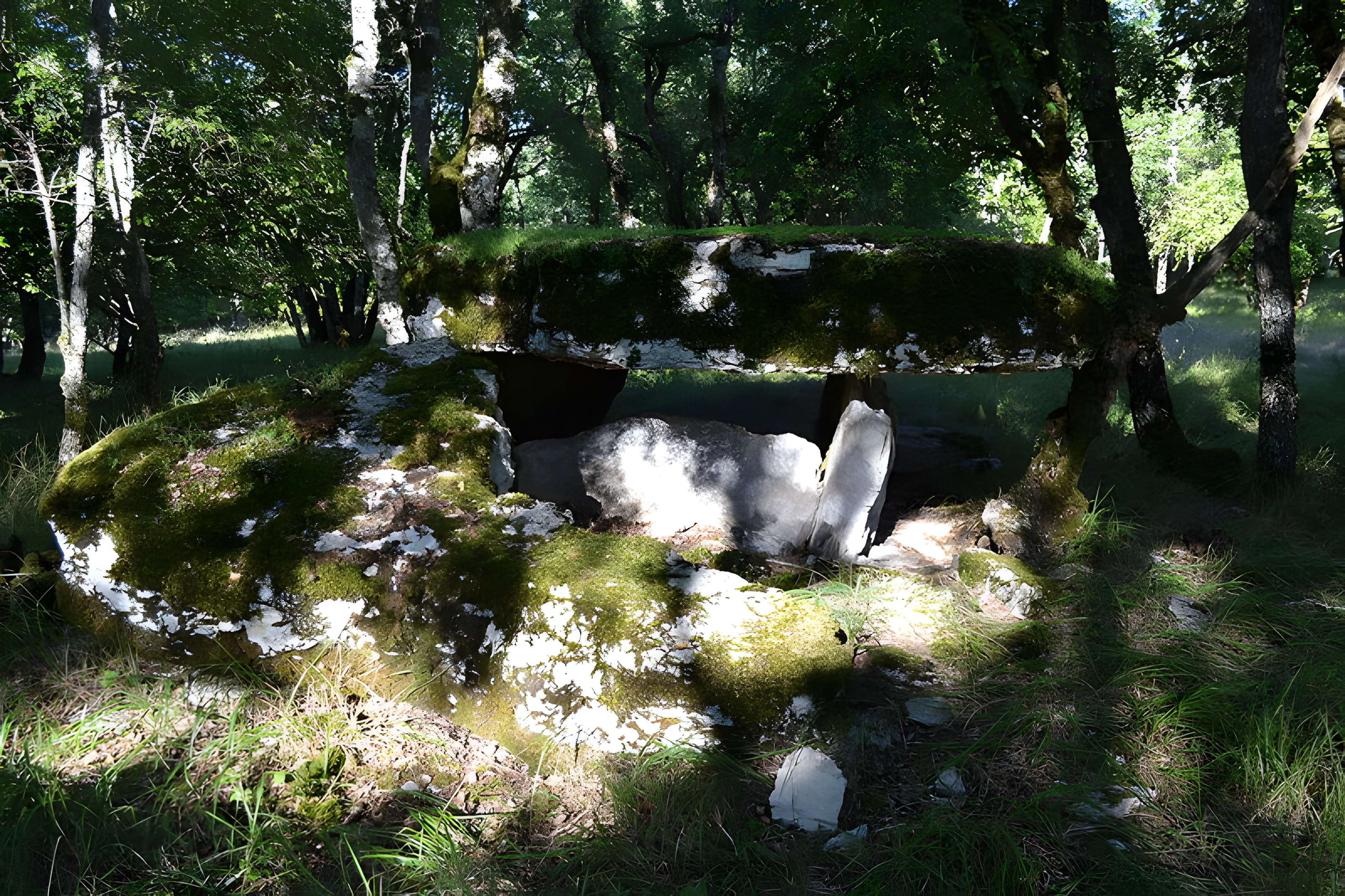 Deux dolmens sur le domaine de Gabaudet