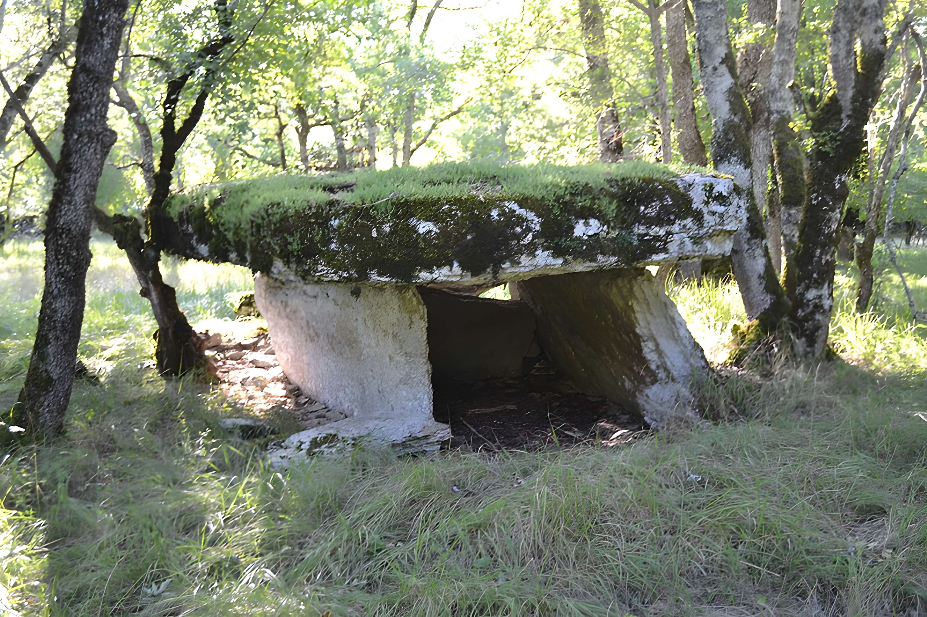 Deux dolmens sur le domaine de Gabaudet