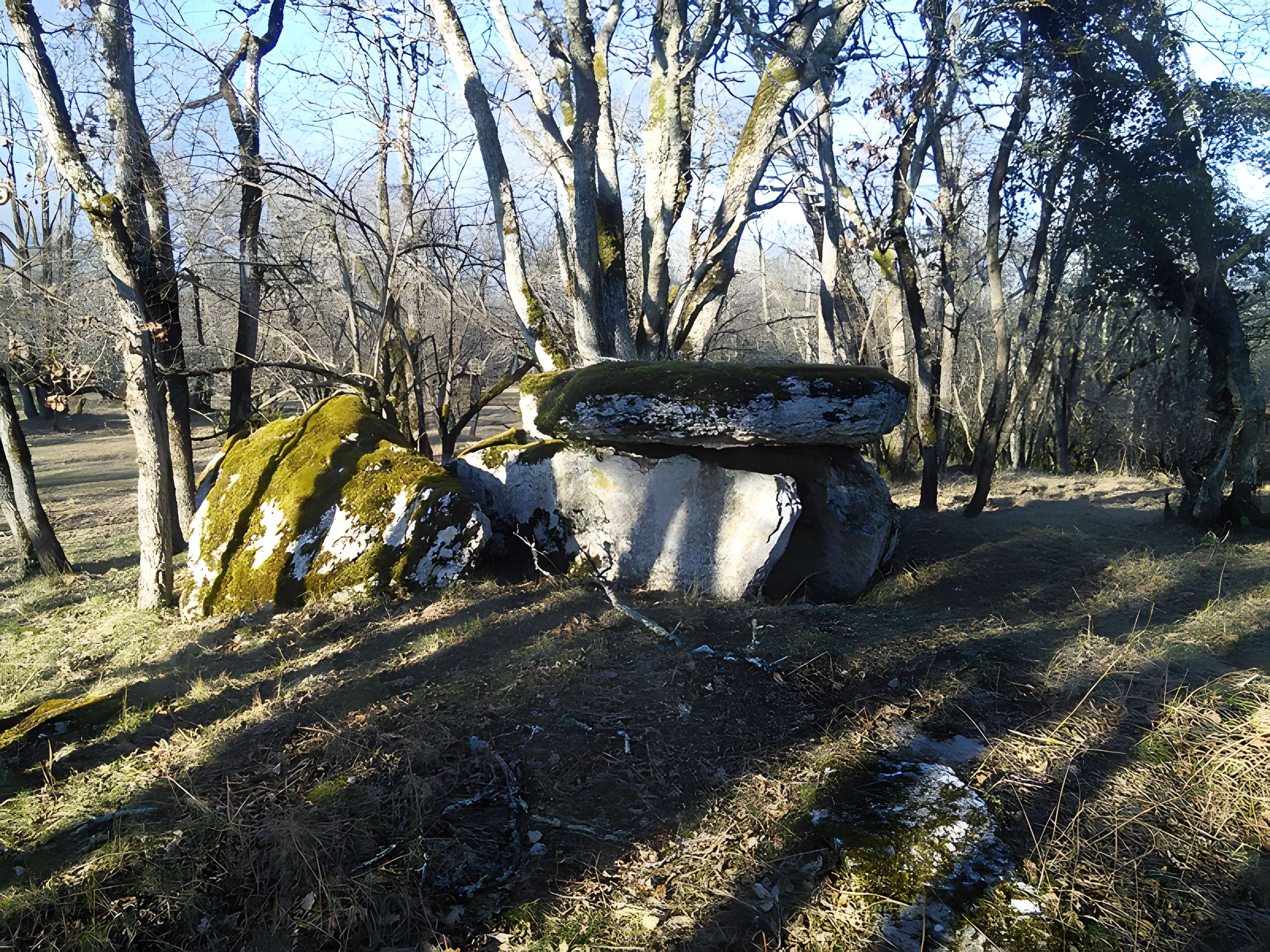 Deux dolmens sur le domaine de Gabaudet